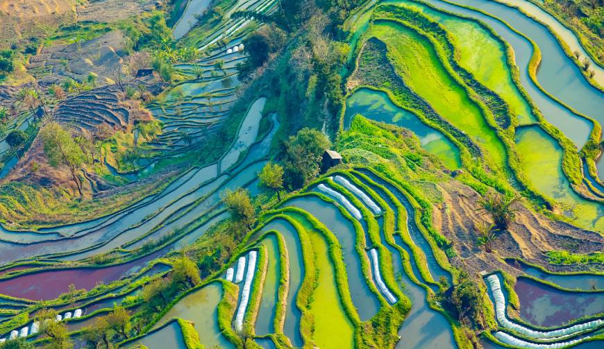 宝妈必备神器：德宏产品视频拍摄轻松育儿好帮手